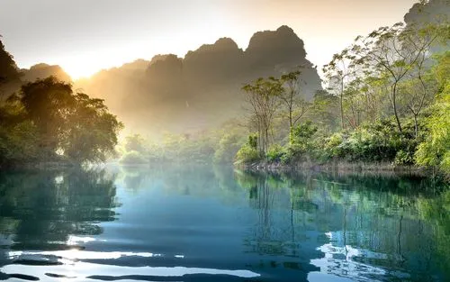 高标准高效